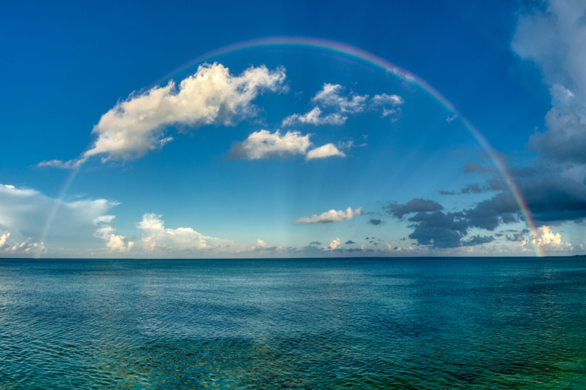 Dawn in Paradise2
