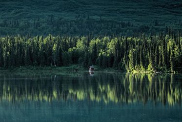landscape, lake, trees, reflection, sun, fishing, shadows, smooth, still