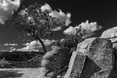 Blakc and White, desert, tree, rocks, rock formations, red rock, canyon, clouds, sky, southwest, contrast